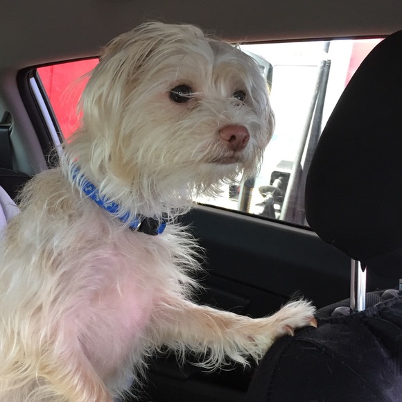 Meet your Posher, Kathy - Picture 2 of 4